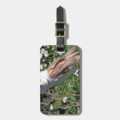 Barn Owl Bagagelabel (Voorkant verticaal)