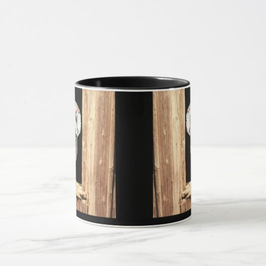 Barn owl Barn Window Animal Bird Mok (Midden)