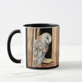 Barn owl Barn Window Animal Bird Mok (Links)