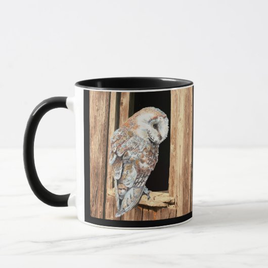 Barn owl Barn Window Animal Bird Mok (Links)