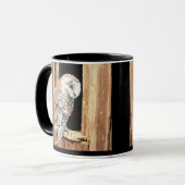 Barn owl Barn Window Animal Bird Mok (Voorkant links)