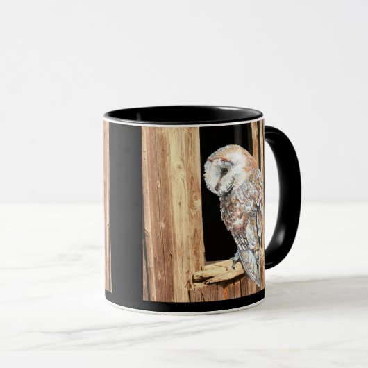 Barn owl Barn Window Animal Bird Mok (Voorkant rechts)