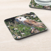 Barn Owl Bier Onderzetter (Linkerzijde)