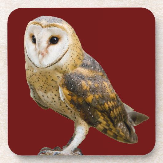 Barn Owl Bier Onderzetter (Voorkant)