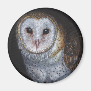 Barn Owl Bird Original Painting Art Magneet
