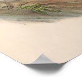 Barn Owl Bird Poster (Hoek)