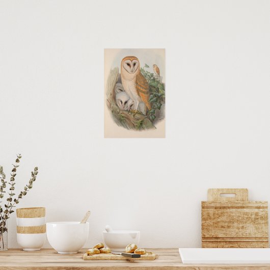  Barn Owl Bird Poster (Keuken)