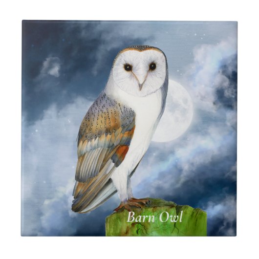 Barn Owl Bird Waterverf Painting Tegeltje (Voorkant)