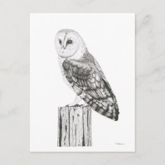 Barn Owl - Blank Briefkaart
