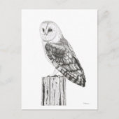 Barn Owl - Blank Briefkaart (Voorkant)