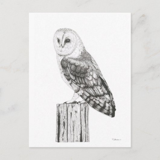 Barn Owl - Blank Briefkaart (Voorkant)