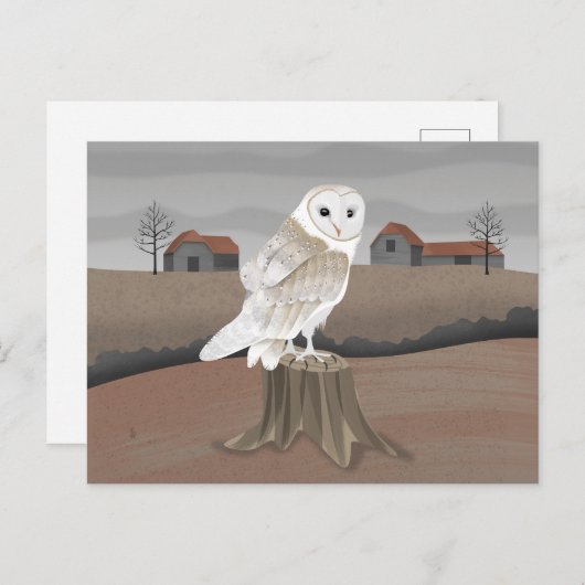 Barn Owl Briefkaart (Voorkant / Achterkant)