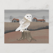Barn Owl Briefkaart (Voorkant)
