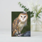 Barn Owl Briefkaart (Staand voorkant)
