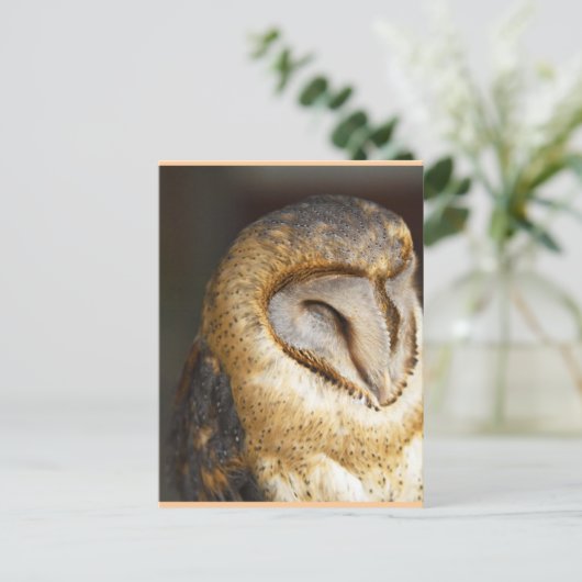 BARN-owl Briefkaart (Staand voorkant)