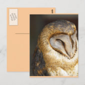 BARN-owl Briefkaart (Voorkant / Achterkant)