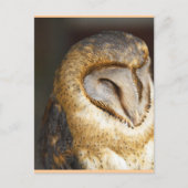 BARN-owl Briefkaart (Voorkant)