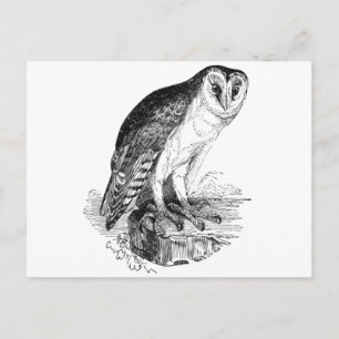 Barn Owl Briefkaart