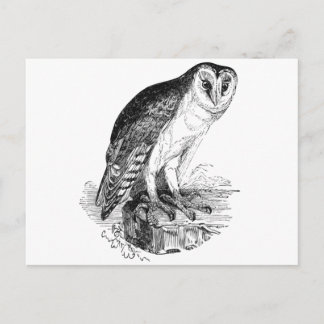 Barn Owl Briefkaart