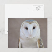 Barn Owl Briefkaart (Voorkant / Achterkant)