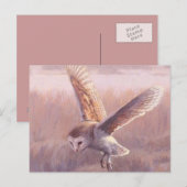 Barn Owl Briefkaart   (Voorkant / Achterkant)