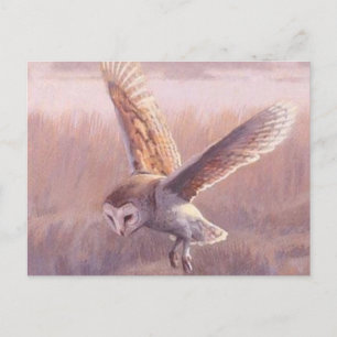 Barn Owl Briefkaart