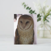Barn Owl Briefkaart (Staand voorkant)
