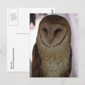 Barn Owl Briefkaart (Voorkant / Achterkant)