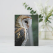 Barn Owl Briefkaart (Staand voorkant)
