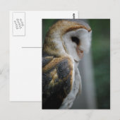 Barn Owl Briefkaart (Voorkant / Achterkant)
