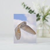Barn Owl Briefkaart (Staand voorkant)