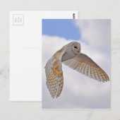 Barn Owl Briefkaart (Voorkant / Achterkant)