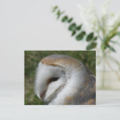 Barn owl briefkaart (Staand voorkant)