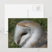 Barn owl briefkaart (Voorkant / Achterkant)