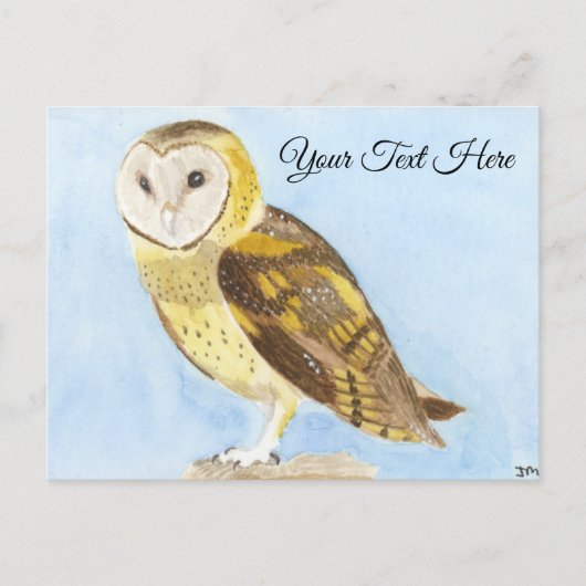 Barn Owl Briefkaart (Voorkant)