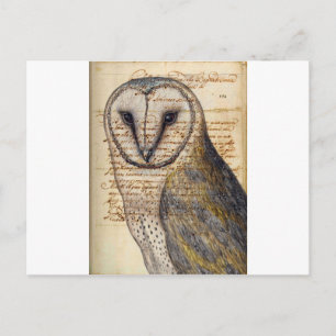 Barn Owl Briefkaart