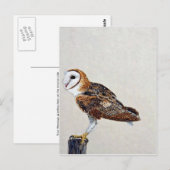 Barn owl briefkaart (Voorkant / Achterkant)