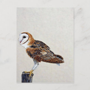 Barn owl briefkaart