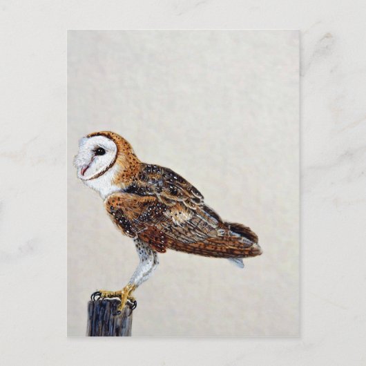 Barn owl briefkaart (Voorkant)