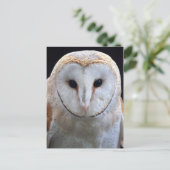 Barn Owl Briefkaart (Staand voorkant)