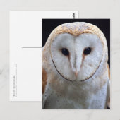 Barn Owl Briefkaart (Voorkant / Achterkant)