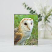 Barn Owl Briefkaart (Staand voorkant)