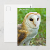 Barn Owl Briefkaart (Voorkant / Achterkant)