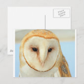 Barn owl briefkaart (Voorkant / Achterkant)
