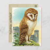  Barn Owl Briefkaart (Voorkant / Achterkant)