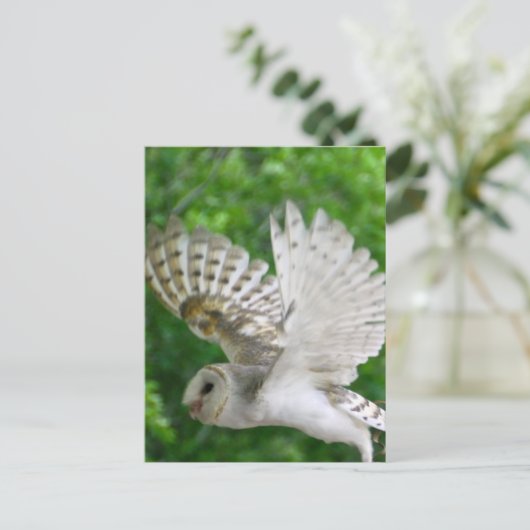 BARN-owl Briefkaart (Staand voorkant)