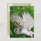 BARN-owl Briefkaart (Voorkant / Achterkant)