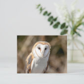 Barn Owl Briefkaart (Staand voorkant)