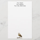 Barn Owl Briefpapier (Voorkant)