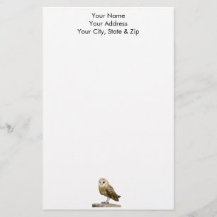 Barn Owl Briefpapier